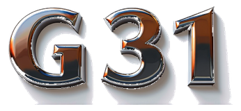 g 31 logo